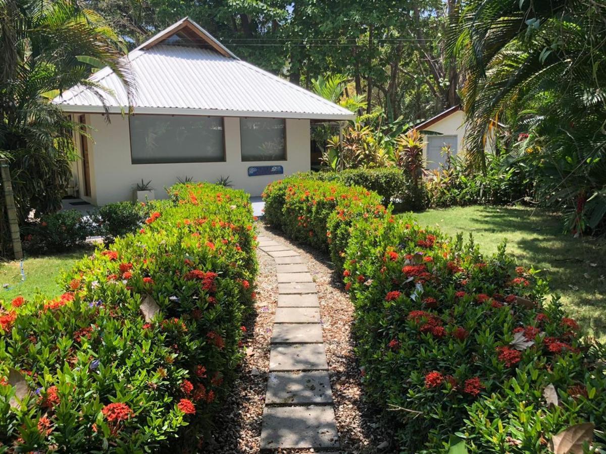 Casa Cecilia Beach Front Playa Santa Teresa  외부 사진