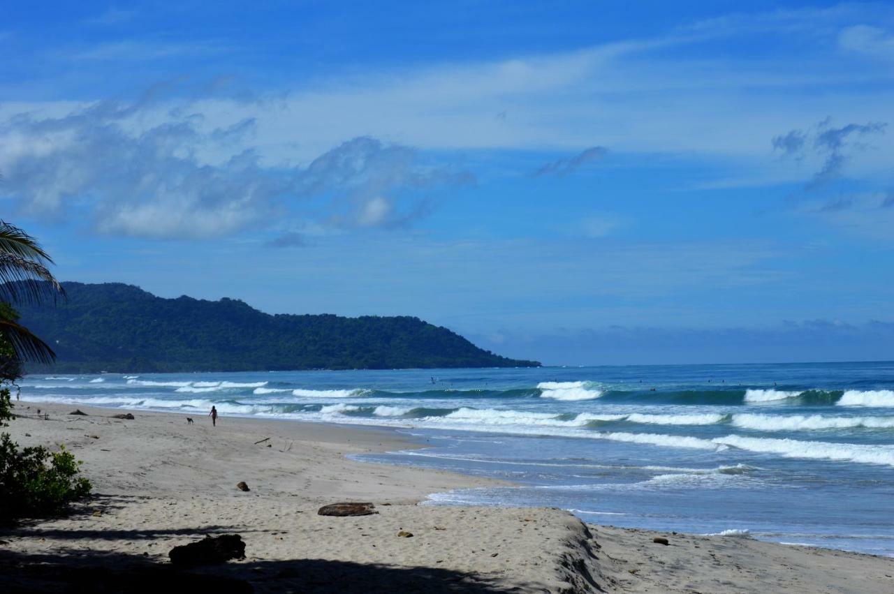 Casa Cecilia Beach Front Playa Santa Teresa  외부 사진